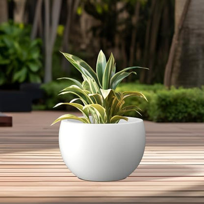 Kante Accent Round Bowl White Concrete Planter 15.7" Dia, Outdoor - color: Pure White, size: 15.7" d