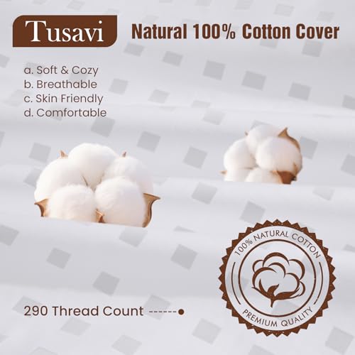 16"x16"Pillow Inserts Set of 2 with 100% Cotton Cover Decorative Square Throw 16 Pillows for Couch, Sofa and Bed - White(2, 16x16) - size: 16x16