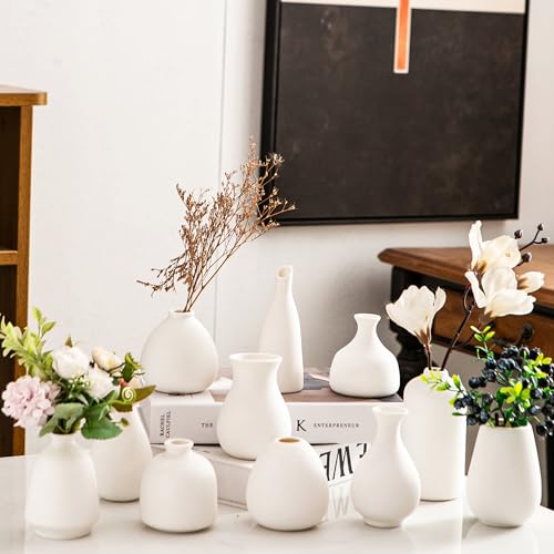 Ceramic Bud Vases, White Mini Vase Set of 11, Small Pottery Vases for Flowers Mini Ceramic Vases for Pampas Grass Vase Bulk for Wedding Table Centerpieces Decoration Boho Home Decor DIY Gift - color: A-white Bud Vases 11pcs