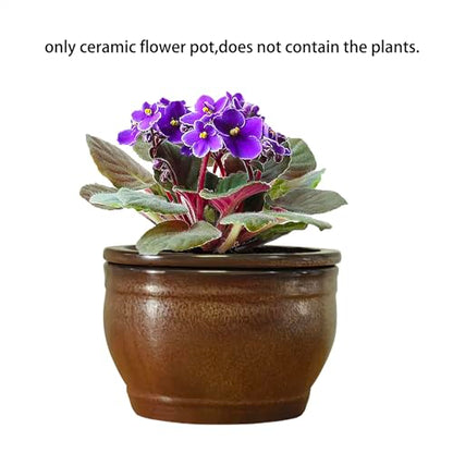 African Violet Pots Self Watering Violet Pot Copper 6 inch - color: Copper
