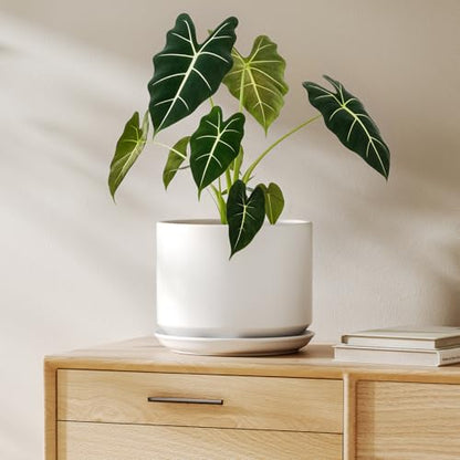 LE TAUCI 8 Inch Plant Pot, Ceramic Pots for Plants, White - color: White, size: 8"