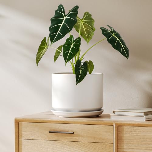 LE TAUCI 8 Inch Plant Pot, Ceramic Pots for Plants, White - color: White, size: 8"