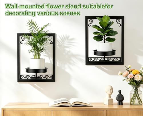 WGFKVAS Wall Plant Holder Set of 3, Picture Frame Plant Holder