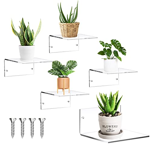 Yalikop 5 Pieces Acrylic Floating Shelves Small 4'' Wall Clear - color: Clear