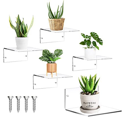 Yalikop 5 Pieces Acrylic Floating Shelves Small 4'' Wall Clear - color: Clear