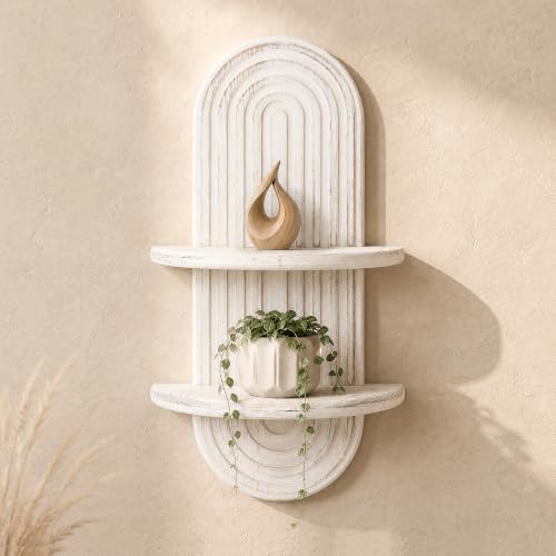 Plant Wall Shelf for Home Decor: Hanging Plant Shelf for Planter, Whitewash - color: Whitewash