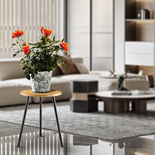 KINNARY Indoor Plant Stand, Mid Century Wood Plant Stand Plant Table for Flower Pots, Tall Metal Plant Holder, Modern Home Decor Small Round Side End Table (11.8"x16") - color: Light wood 11.8"x16"
