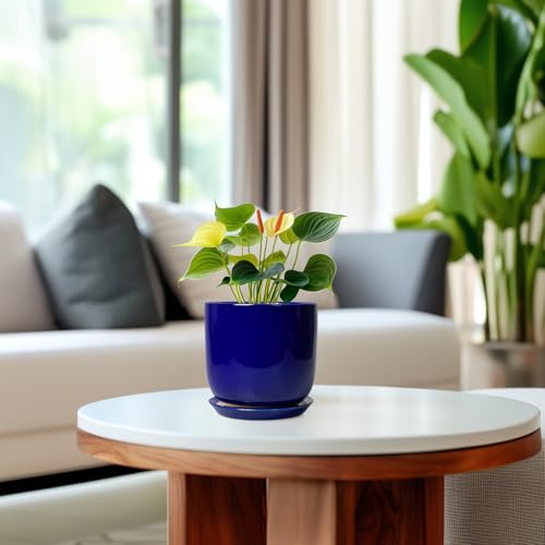 Succulent Pot 5 Inch, Modern Ceramic Planter, Blue - color: Dark Blue, size: 5.3 Inch