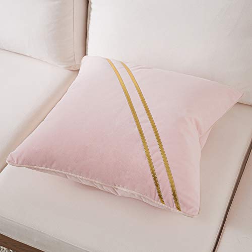 Avigers Throw Pillow Cover 18 x 18 Inch, Pink, Velvet, Hidden Zipper - color: Pink, size: 18" x 18" (Pack of 1)