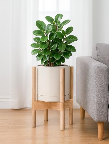 D'vine Dev Ceramic Pot with Natural Wood Stand, Oatmeal, 8 in, 55-B-N-8 - color: Oatmeal Pot + Natural Stand, size: 8 Inch