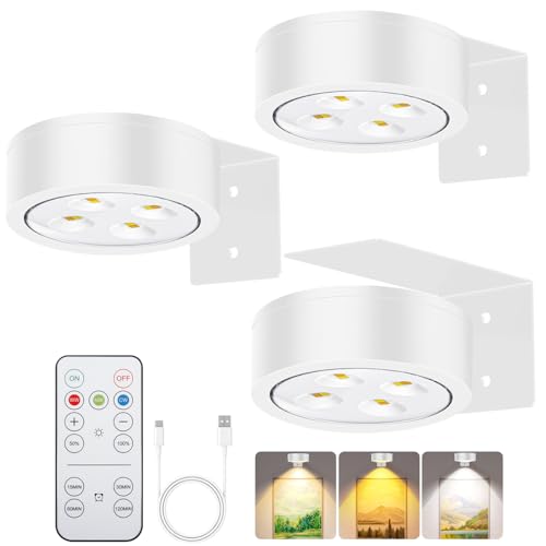 Rechargeable Battery Painting Light Picture Lights with Remote Control, Magnetic LED Art Lights for Framing, Dimmable and Timer-Equipped, 3 Lighting Modes,3Pack White - color: White, size: 3 Pack