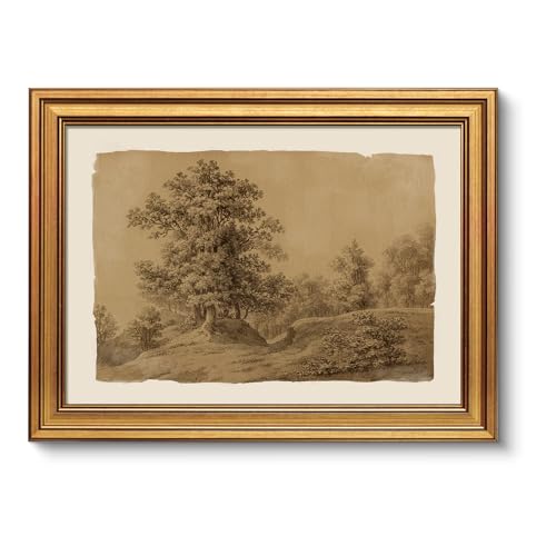 VIYYIEA Gold Framed Art Prints,12x16Inch, Sketch Landscape Vintage Art Painting, Rustic Sepia-toned Decor for Library Dining Study Room Shelf, Country Canvas Picture - color: Sketch Landscapes, size: 16"L x 12"W