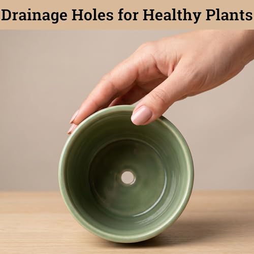 Ceramic Pots for Plants Set of 3, 6, 5, 4 Inch Diameter with Drainage Holes