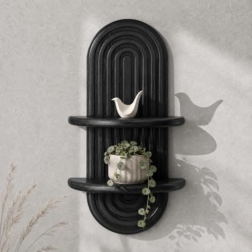Plant Wall Shelf for Modern Decor: Hanging Plant Shelf for Planter, Black - color: Black