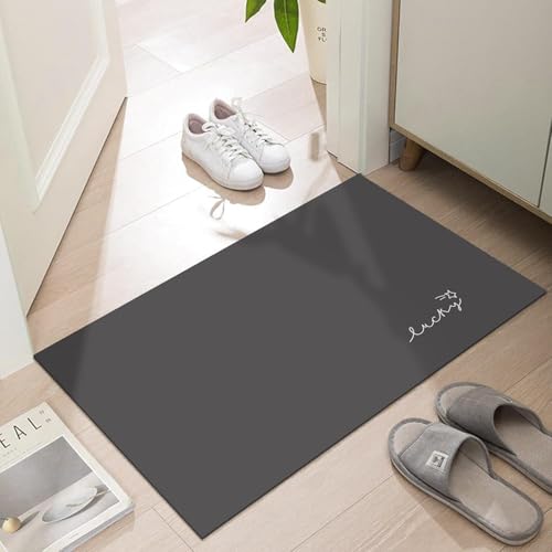 Ultra Thin Indoor Door Mat, 1/10 in Thin Door Mats for Inside Entry - color: Dark Grey(lucky), size: 1'5" x 2'6" (Rectangular)