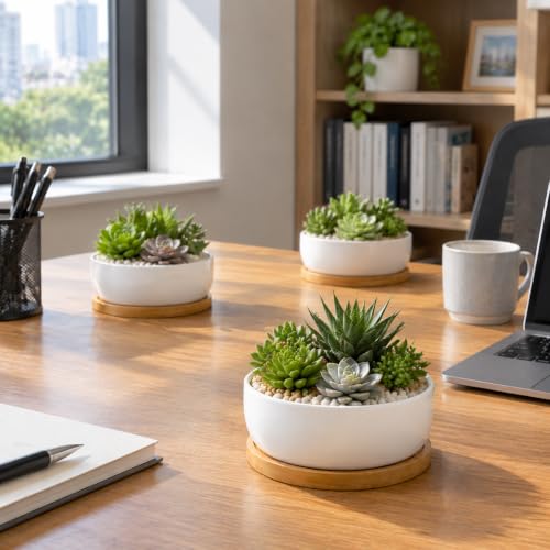 Lawei 3 Pack 6 Inch Round Ceramic Succulent Planter Pots with Drainage and Bamboo Trays, Shallow Cactus Plant Pots for Indoor Plants, Modern White Flower Bowl Planters for Desktop Window Decor