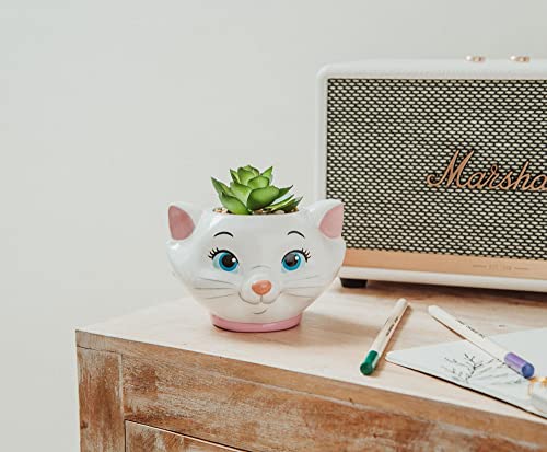 Silver Buffalo Disney The Aristocats Marie 4-Inch Ceramic Mini Planter with Artificial Succulent | Cute Small Flower Pot, Faux Indoor Plants - color: Aristocats