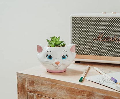Silver Buffalo Disney The Aristocats Marie 4-Inch Ceramic Mini Planter with Artificial Succulent | Cute Small Flower Pot, Faux Indoor Plants - color: Aristocats