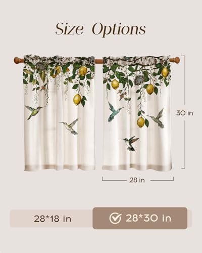 Miss Adola 30 Inch Length Kitchen Tier Curtains, Farmhouse Lemon - color: Farmhouse Lemon, size: 28"W x 30"L (Pack of 2)