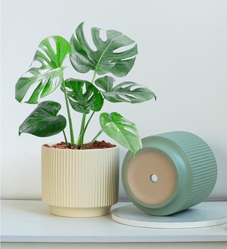 Ceramic 4.9+6.3 inch Planters, Modern Home and Office Flowerpot, Indoor and Outdoor Flowerpot with Drainage Hole (Green) - color: Green