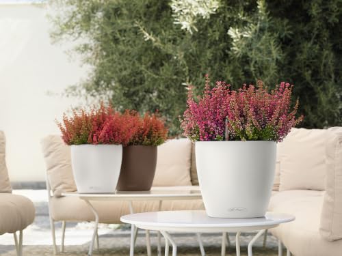 Lechuza 13210 Classico 35 Self-Watering Planter for Indoor and Outdoor Use, 14" x 14" x 13", White Matte - color: White Matte, style: 35