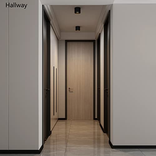 Ceiling Light Fixture, Flush Mount Ceiling Lights LED Dimmable Cylinder Ceiling Light Spot Light for Living Room Hallway Kitchen Dining Room Foyer 3000K 14.5W (Black) - color: Black 1pack
