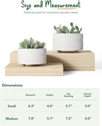 LE TAUCI Succulent Pots, 6.5+8 Inch Ceramic Indoor Plant Pot with Drainage Hole, Shallow Round Succulent Planters, Set of 2, Matte White - color: White