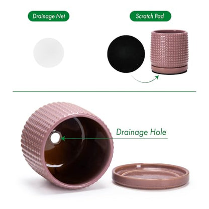 D'vine Dev Beaded Ceramic Pot with Saucer, 6 in, Blush Mauve, 27-C-X-K - color: Blush Mauve, size: 5.8 Inch