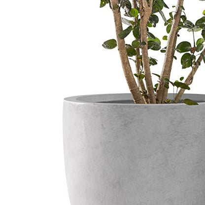 Kante Set of 3 Pale Gray Concrete Curved Planters 20" 16.5" 13.3" Dia - color: Natural Concrete, size: 20.1"d + 16.5"d + 13.4"d