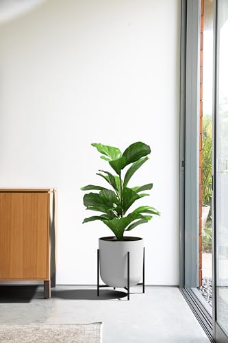 Veradek Mason Series Raised Lima Planter - Round Planter with Stand - color: White, size: 15 inch - 2 Pack