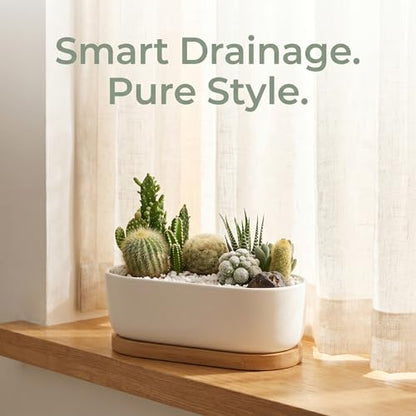 2 Pack Oval White Ceramic Succulent Planters with Bamboo Tray