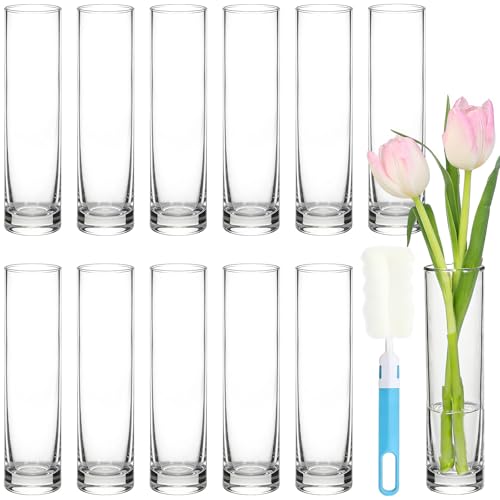 TBWIND 12pcs 7.5 Inch Clear Glass Cylinder Bud Vases for Centerpieces