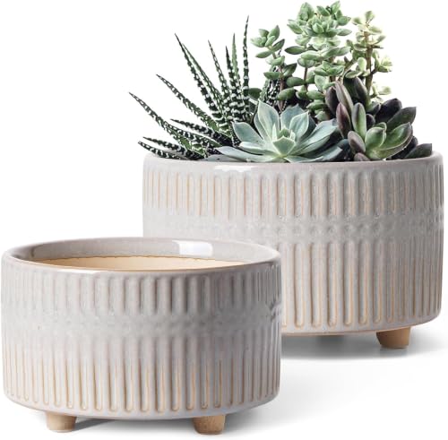 LE TAUCI Succulent Pots, 6.5+8 Inch Ceramic Indoor Plant Pot with Drainage Hole, Shallow Round Succulent Planters, Set of 2, Reactive Glaze Star White - color: Reactive Glaze Star White