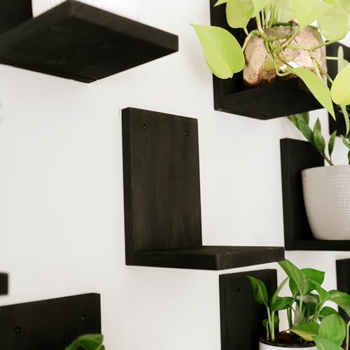 Daniel's Plants 3 Pack Mid-Century Modern L Shaped Wooden Plant Shelf Kit | Wall Mounted Floating Shelves | Solid Wood Wall Planter Shelf | Midnight Black - color: Midnight Black