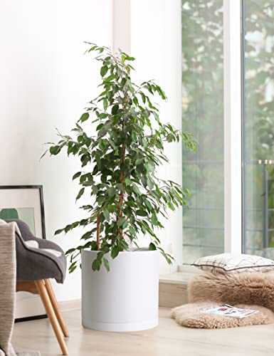 D'vine Dev Plastic Planter Pot with Saucer, 14 in, White, 74-X-A-4 - color: Matte White, size: 14 Inch