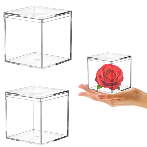 KissYou Acrylic Box Clear Box with Lid 3.15 x 3.15 x 3.15 Inch 2 Pack - size: 3.15 x 3.15 x 3.15 Inch