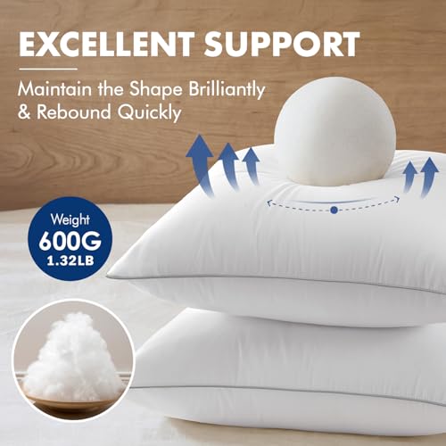 MIULEE 20x20 Inch Pillow Inserts Pack of 4 with 100% Textured Woven Fabric Cover - size: 20x20 Inch