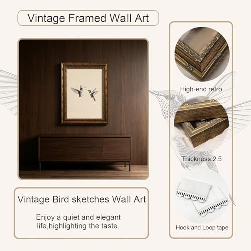 Vintage Framed Canvas Wall Art Vintage Birds Wall Decor Two Hummingbirds Sketch Paintings Farmhouse Aesthetic Artwork Minimalist Pictures for Bedroom Living Room Shelf 9x11 inch Ready to Hang - color: Brid, size: 9"L x 11"W
