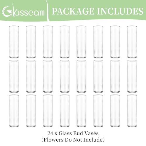 Glasseam Cylinder Bud Vases in Bulk 24: Clear Small Glass Vases for Flowers