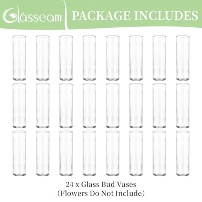 Glasseam Cylinder Bud Vases in Bulk 24: Clear Small Glass Vases for Flowers