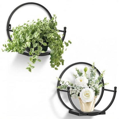 Wall Plant Holders for Indoor Plants, Round Mounted Frame, 2 Pack - size: 11 inches x 5.9 inches x 11 inches