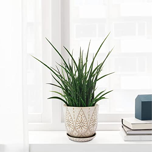 Gepege 8 Inch White Ceramic Plant Pot with Drainage & Saucer - color: Cream White, size: 8 Inch