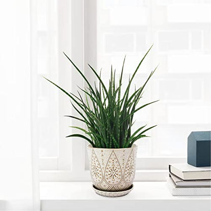 Gepege 8 Inch White Ceramic Plant Pot with Drainage & Saucer - color: Cream White, size: 8 Inch