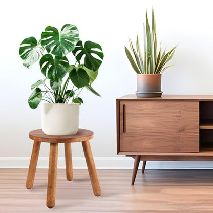 Round Solid Wooden Stool,Plant Stand,Step Stool,Walnut,15.8" H - color: Walnut, size: 15.8inch