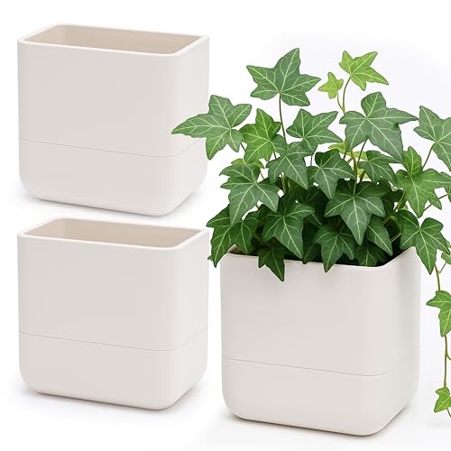 Phoenix Vine 6.5 Inch Wall Mounted Self-Watering Planter Pots for Indoor Houseplants and Herbs | Hanging Planter for Window Sills, Bathroom Walls, Home & Office Décor, Oatmeal, Set of 3, 01-C-G-3 - color: Oatmeal, size: 6.5" (3 Pack)