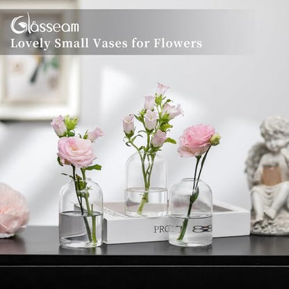 Glasseam Glass Bud Vases for Single Stem Flower, Small Clear Vase Set of 12 - size: S-12Pcs