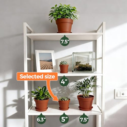 T4U Terracotta Pots for Plants 5 Inch with Saucer, Clay Flower Pot 8 Pack - color: Terracotta, size: 5 inch