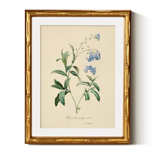 InSimSea Gold Bamboo Framed Wall Art,Blue Myosotis Botanical Prints,11x14In - color: Blue Myosotis