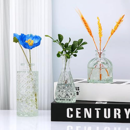 Clear Flower Vase Set, Glass Bud Vase in Bulk Set of 8 - color: Clear, size: 8 pcs