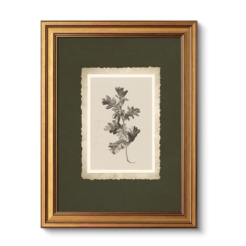 VIYYIEA Vintage Gold Framed Wall Art, Oak Leaf Wall Decor For Kitchen Bathroom Bedroom, Aesthetic Botanical Acorn Canvas Prints Paintings, Antique Botanical Drawing Neutral Art, 12x16inch - color: Old Acorn, size: 16"L x 12"W